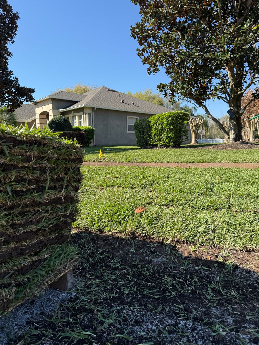 Resod Specialist for Gulf Bay Sod in Clearwater, FL