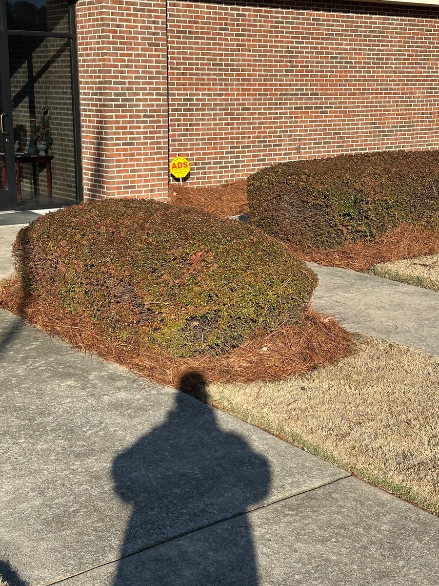 Lawn Maintenance for Buddy’s Outdoor Solutions in Rome, GA