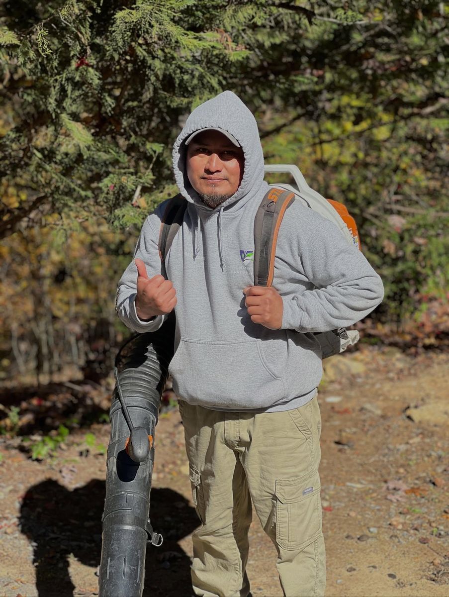 Tree services, Hedge Trimming, and Flower Services for Massey Landscaping in Gastonia, NC