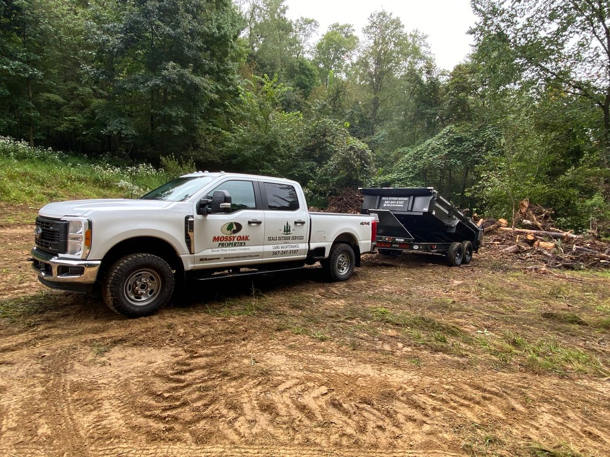 Downed Tree and Brush Cleanup for Seals Outdoor Services in Ashland County Ohio and surrounding counties, 