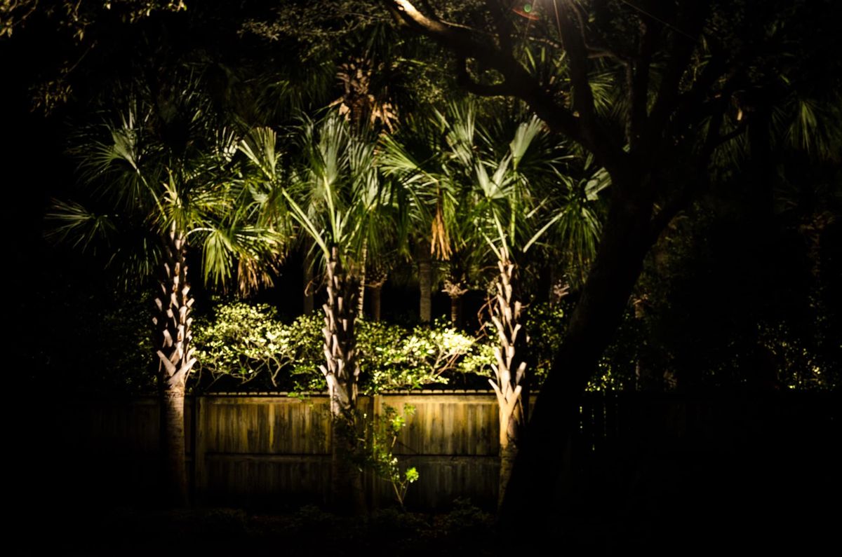 Landscape Lighting Installations for Wheelhouse Irrigation and lighting in Charleston, South Carolina