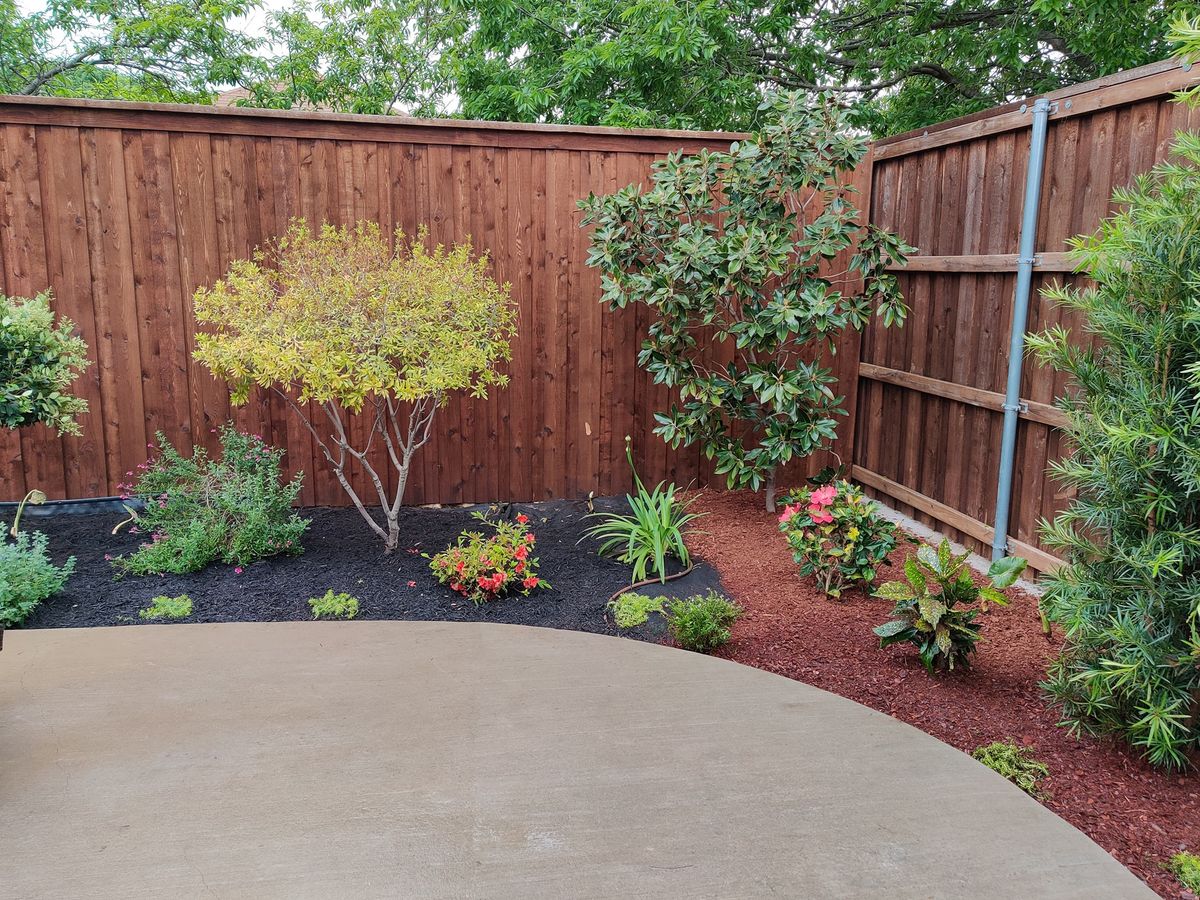 Plant Installations for Bryan's Landscaping in Arlington, TX