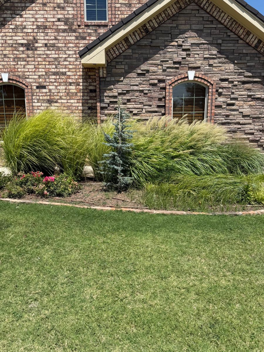 Flower Beds for R&J Hydromulch in Booker, TX