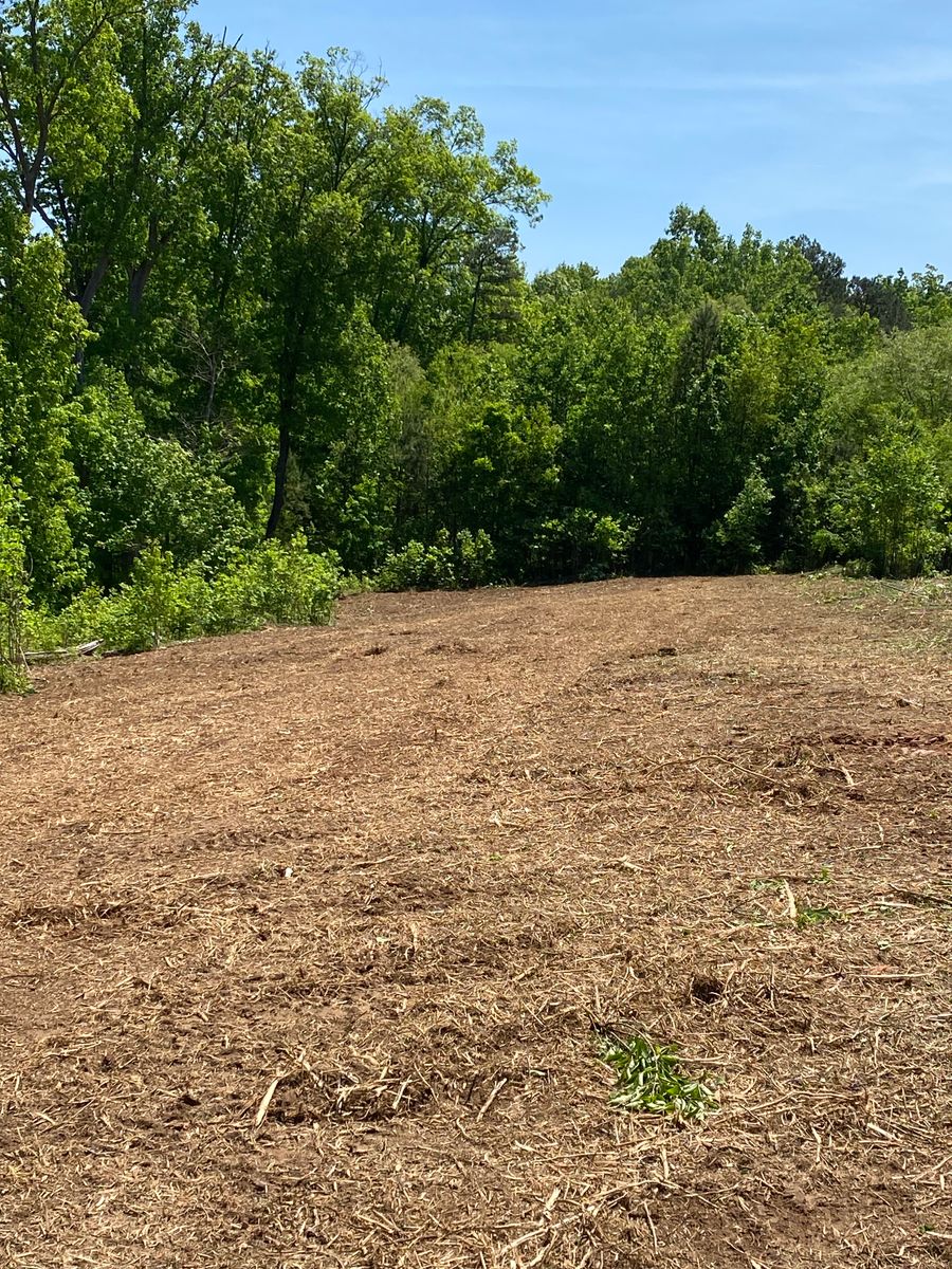 Lot Clearing for Southern Land Solutions Forestry Mulching, LLC in Cleveland, NC