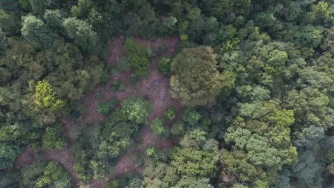 Land Clearing for High Country Wildlife & Land Management in Columbia, TN