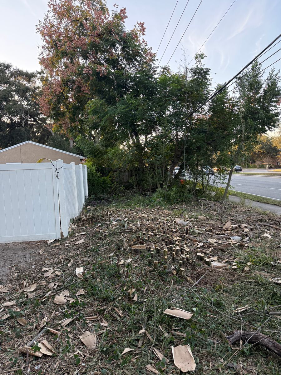 Land Clearing for Amerigrown Tree And Lawn in Apopka, FL