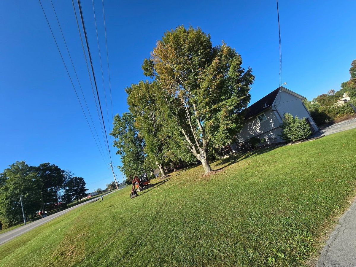 Tree Trimming for M&L Lumber and Excavating in Jonesborough, TN