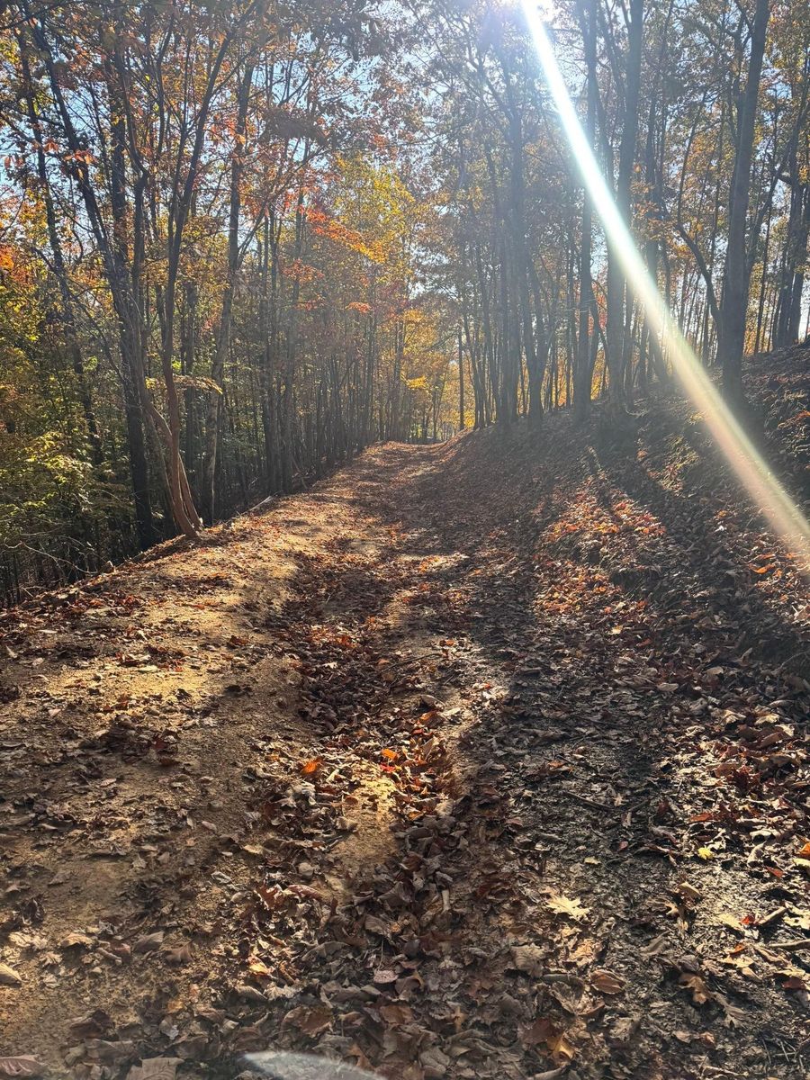 Site Preparation for Leal’s Lawn Service in Dayton, TN