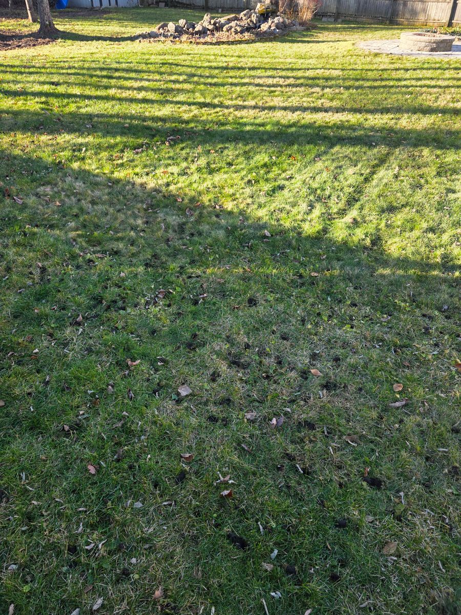 Dethatching & Aeration for Sweet Scapes in Ballston Spa, NY