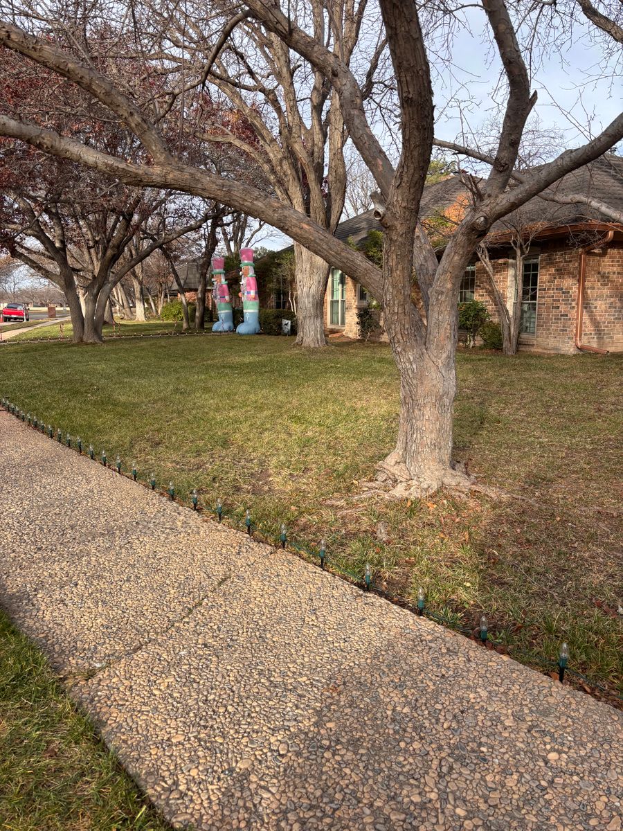 Lawn Maintenance for Marple Services in Amarillo, TX