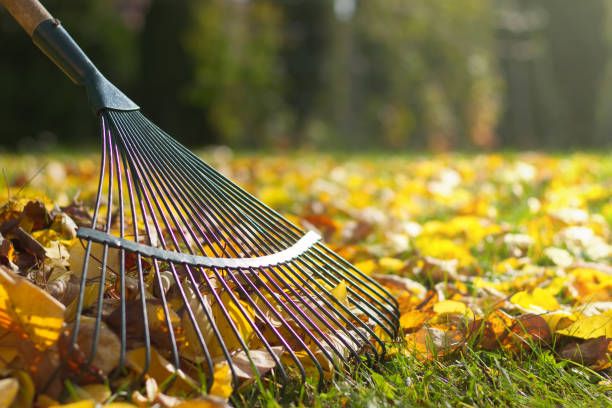 Fall Clean Up for Cutting Edge Lawn Care in Fayetteville, NC