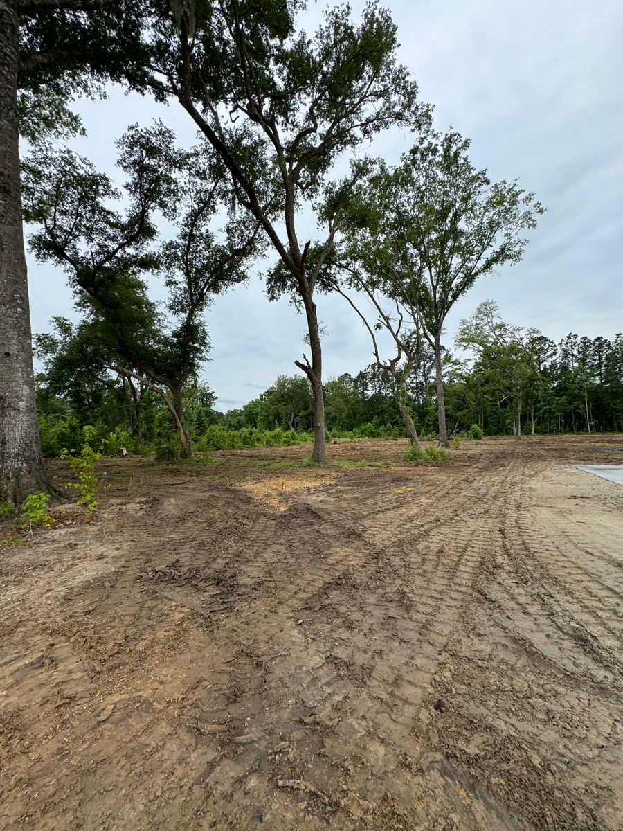 Forestry Mulching for Davis Contracting & Site Work in Adams Run, SC