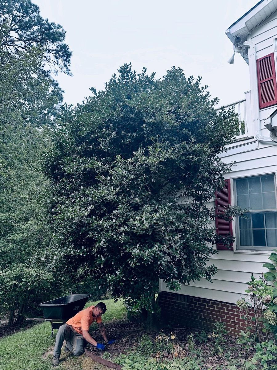 Spring and Fall Clean Up for Nate's Property Maintenance LLC  in Lusby, MD