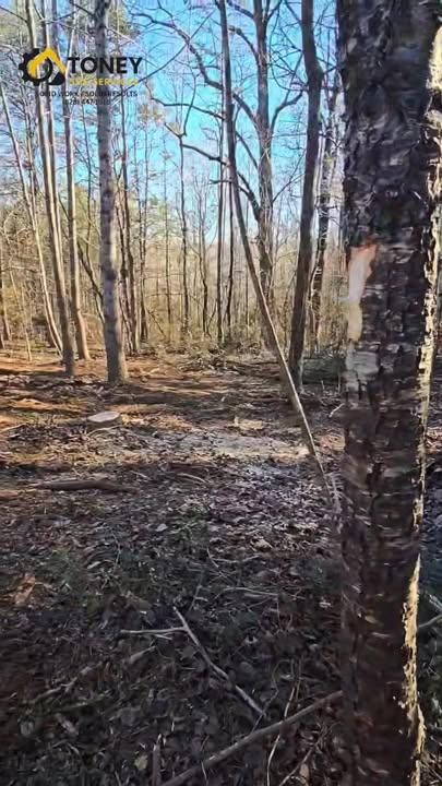 Forestry Mulching for Toney Site Services LLC in Rutherford County, NC