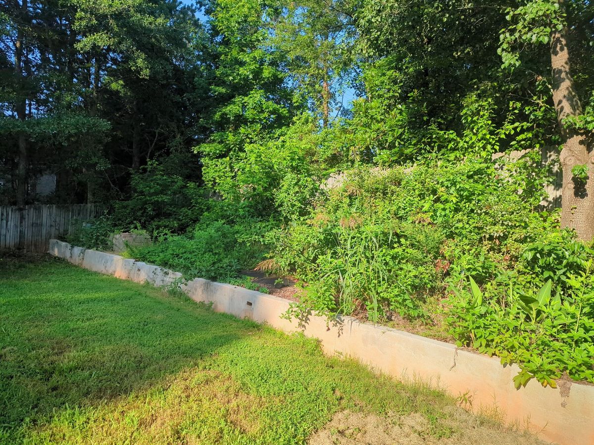 Lawn Installation for Tri-P Services in Athens, GA