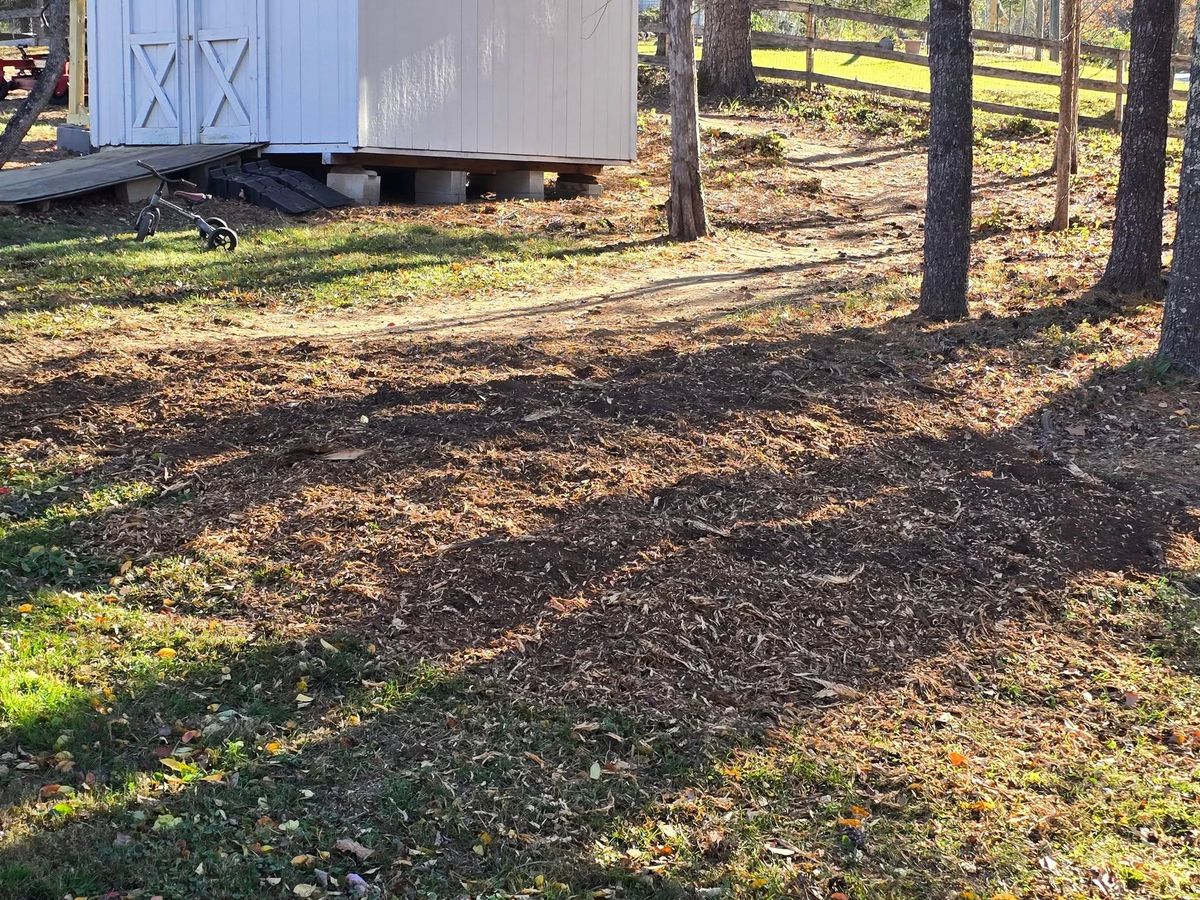 Stump Removal for W D Giampa Lawns and Landscape Inc. in Manassas, VA