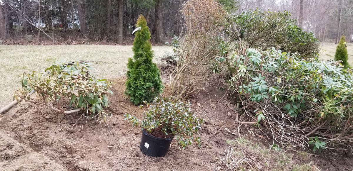 Landscape Installation for Landscape Innovations LLC in Torrington, CT