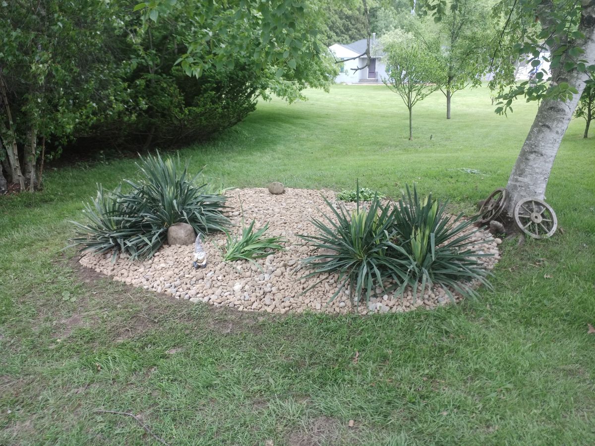 Shrub Trimming for Hendricks Mowing in Amherst, OH