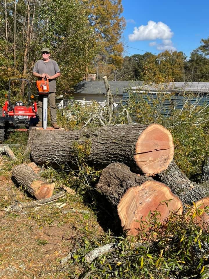 Tree Removal for R&P Tree Service LLC in Greenville, South Carolina