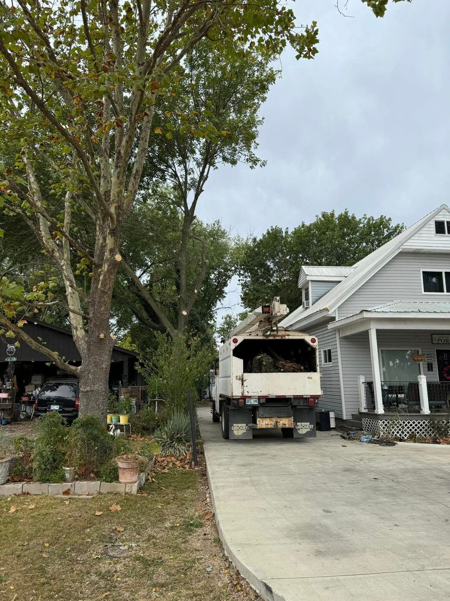 Tree Trimming for Oklahoma Tree Guy in Bartlesville, OK