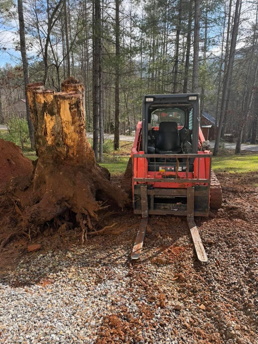 Tree Removal for C & D Landscaping Services, LLC in Blairsville, GA