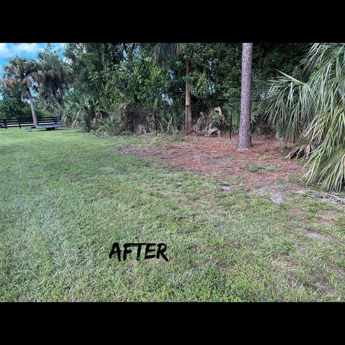 Debris Removal for Junk Heroes in Orlando, FL