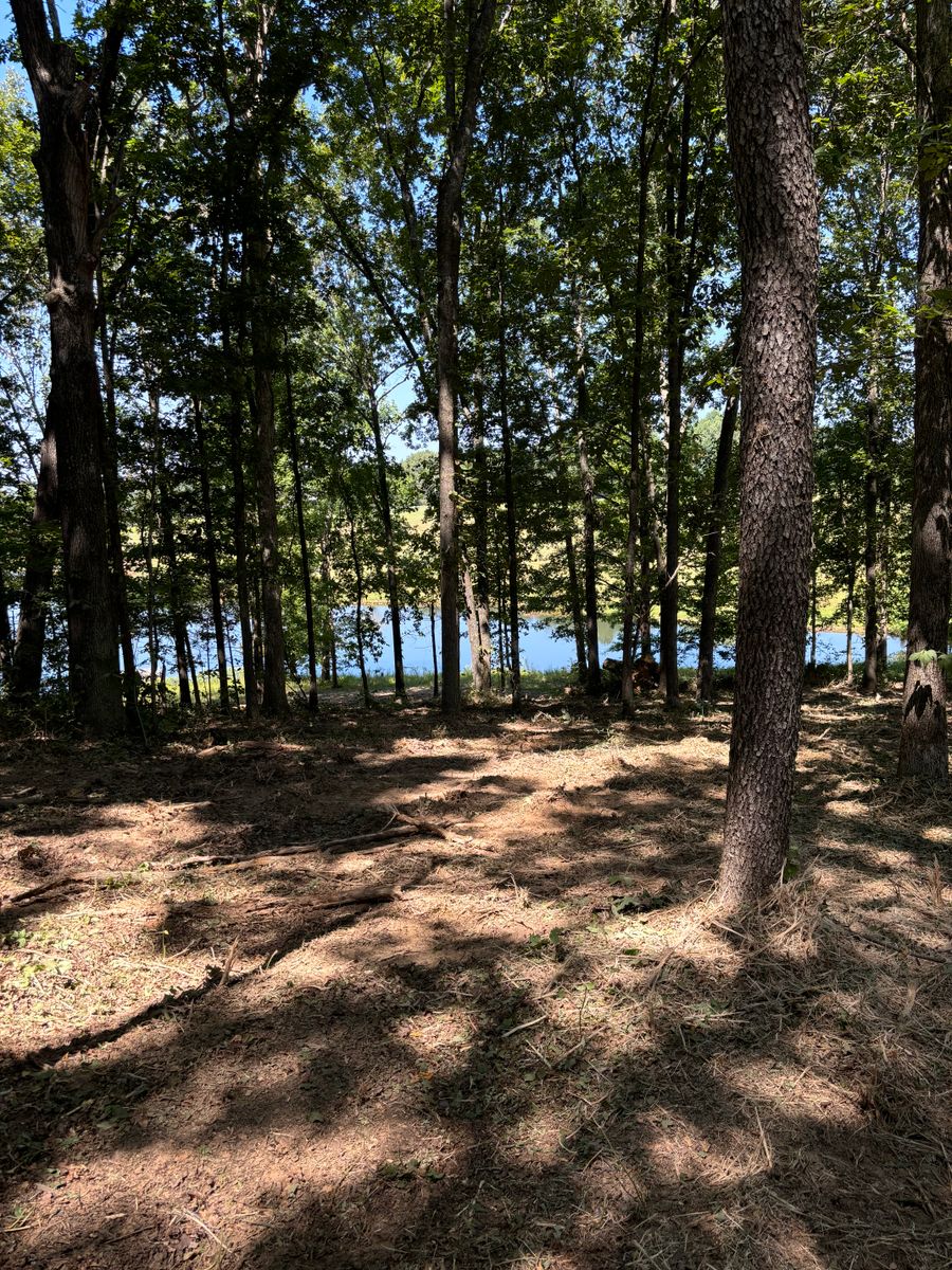 Land Clearing for Gregory Grass and Lawn in Lafayette, TN