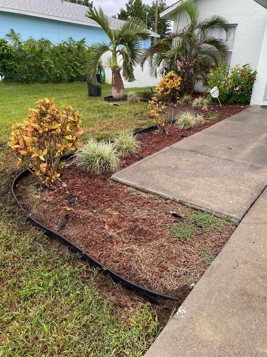Mulch Installation for Greens Landscaping in Clearwater, FL