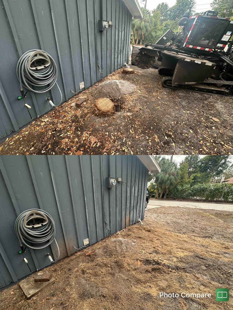 Stump Removal for Adam's Tree and Stump Care in Sarasota, FL