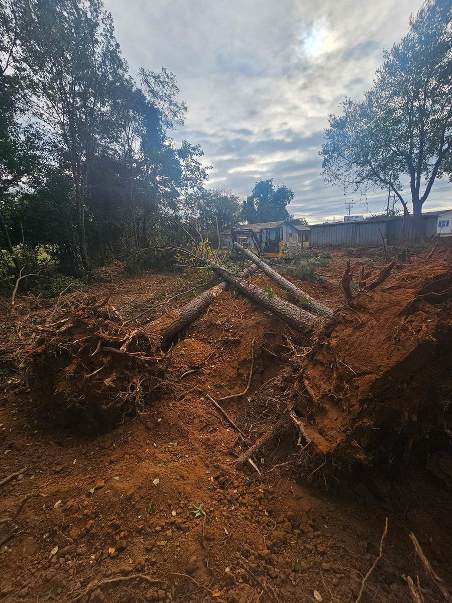Tree Removal for O'Connor Clearing and Hauling LLC in Anderson County, SC