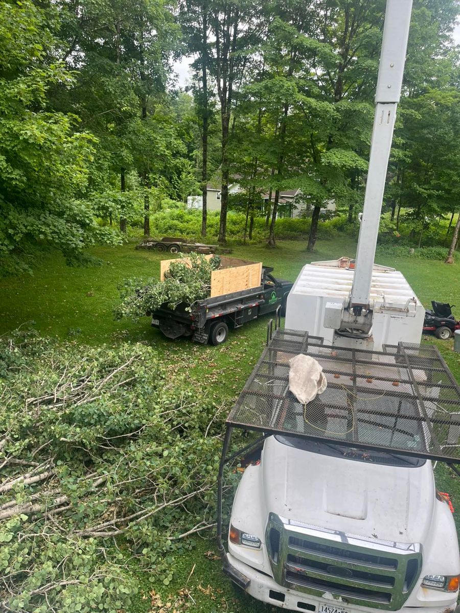 Tree Removal for Helfert Tree Service in Boonville, NY