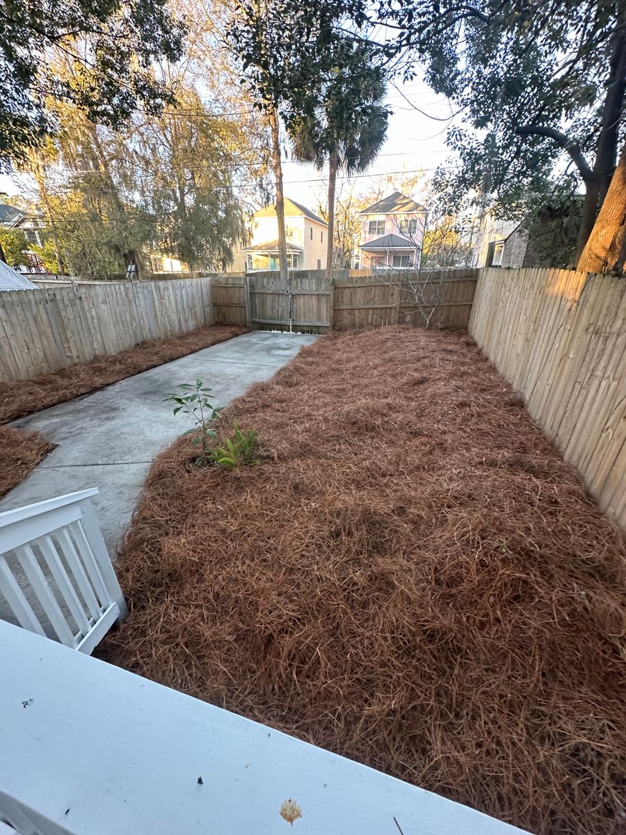 Pine Straw Installation for Coastalscapes Landscaping & Turf Management  in Savannah, GA