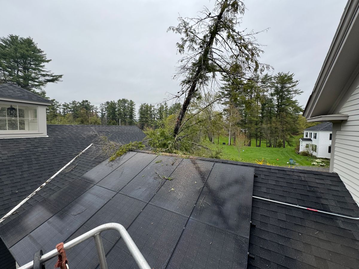 Tree Removal & Pruning for Clifford’s Quality Tree Care & Landscaping in Enfield, NH