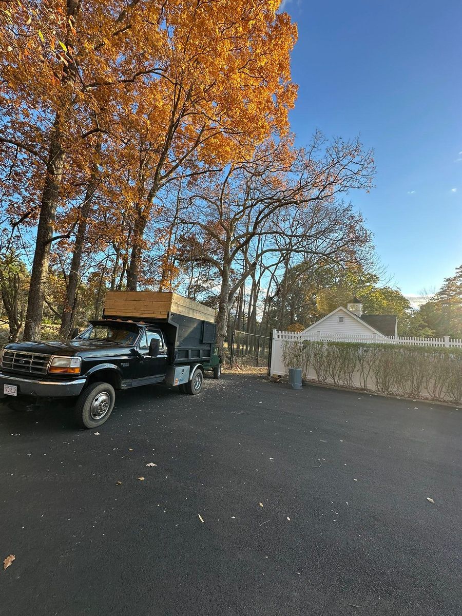 Tree Trimming for Silver City Tree and Landscape in Taunton, MA