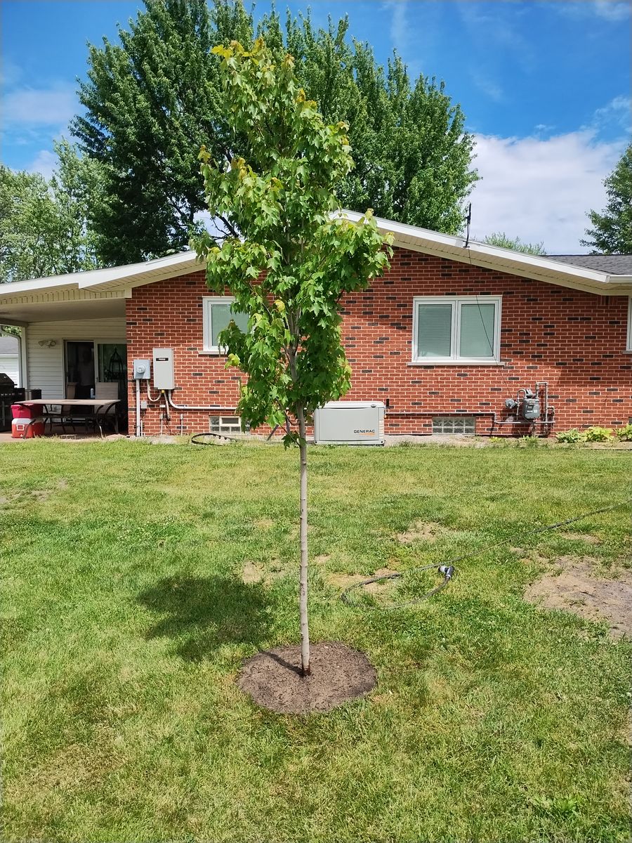 Landscape Installation for Humphries Hardscape - Pavers and Landscaping in Wyandotte, MI