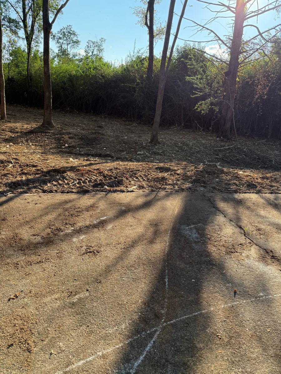 Tree Removal for T N L - Tree and Land Service in Reynolds, GA