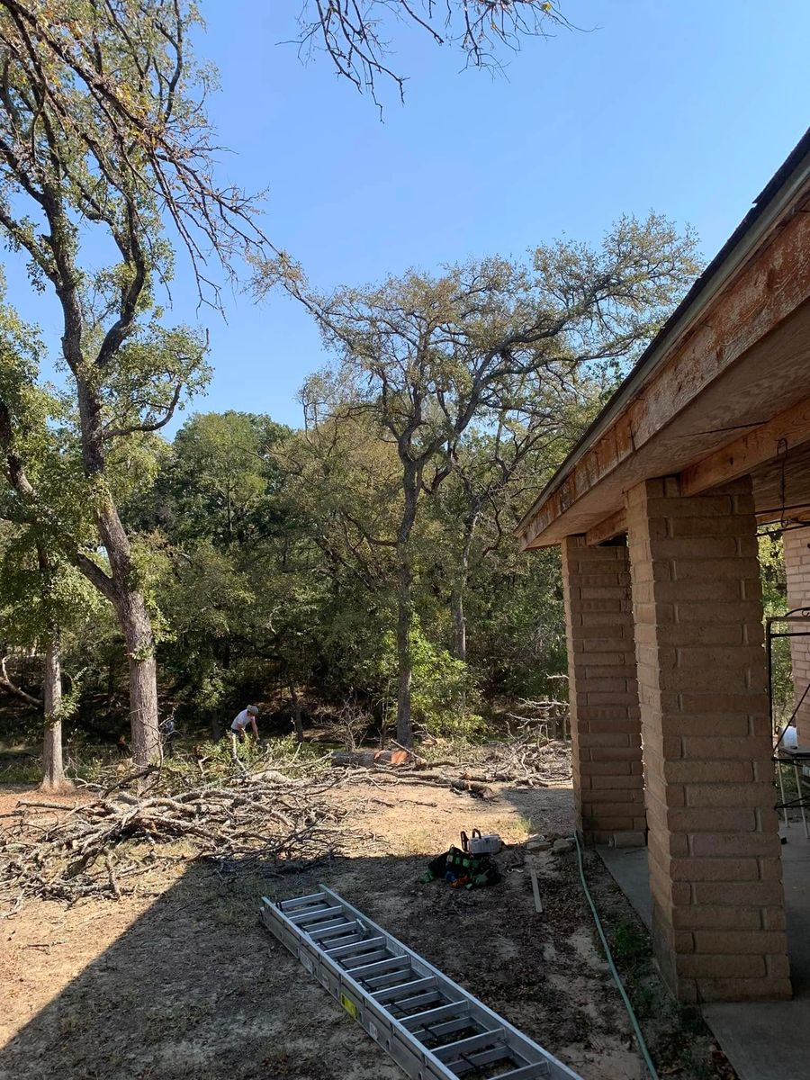 Tree Removal for Marks Tree Service in Fort Worth, TX