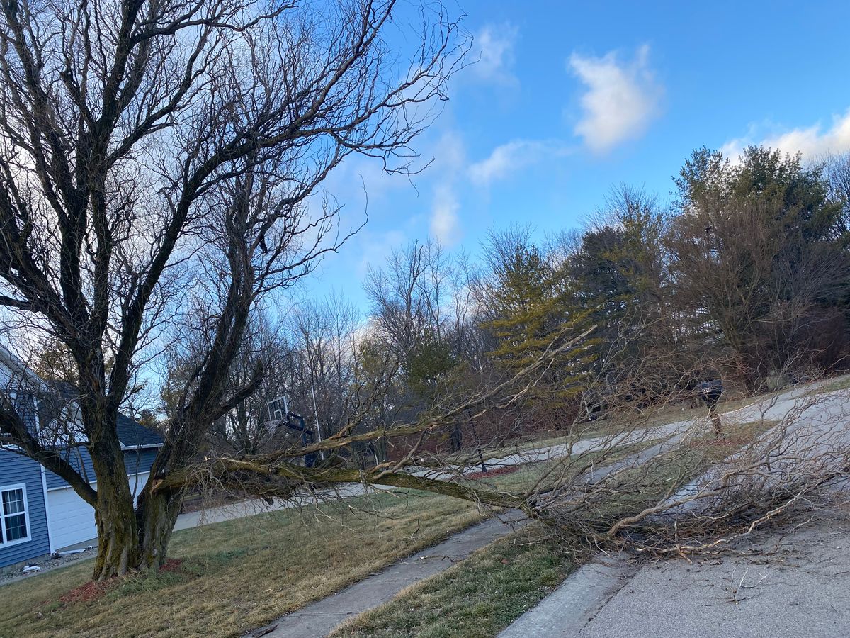 Storm Cleanup for Bearforce Lawn Care LLC in Greenfield, IN