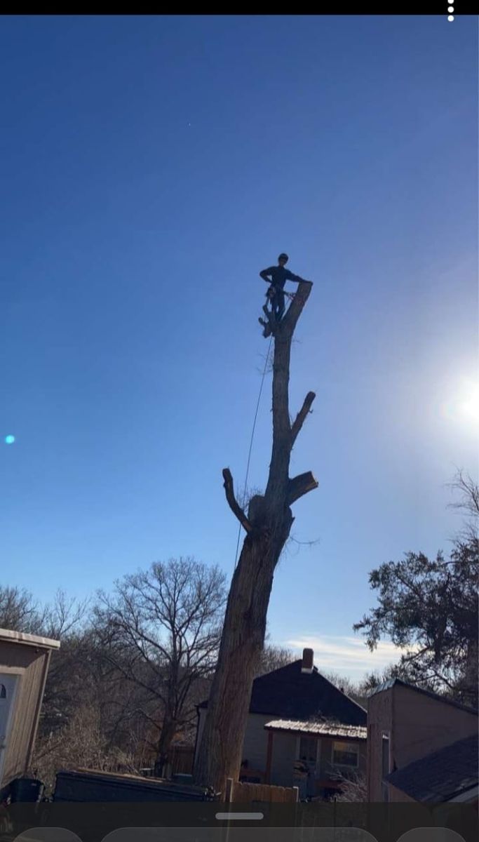 Tree Trimming for SMH Tree Service in Atwood, KS