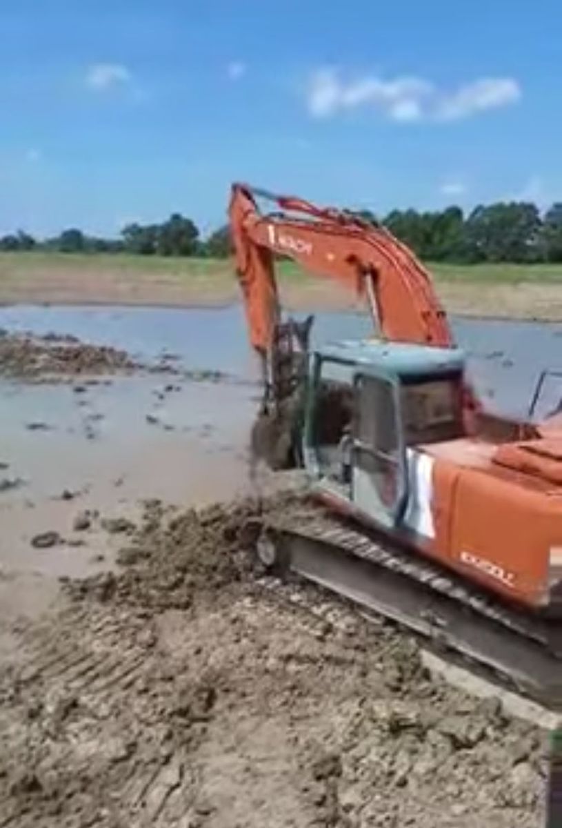 Wetland Mitigation for R & W Excavation in Cambridge, MD