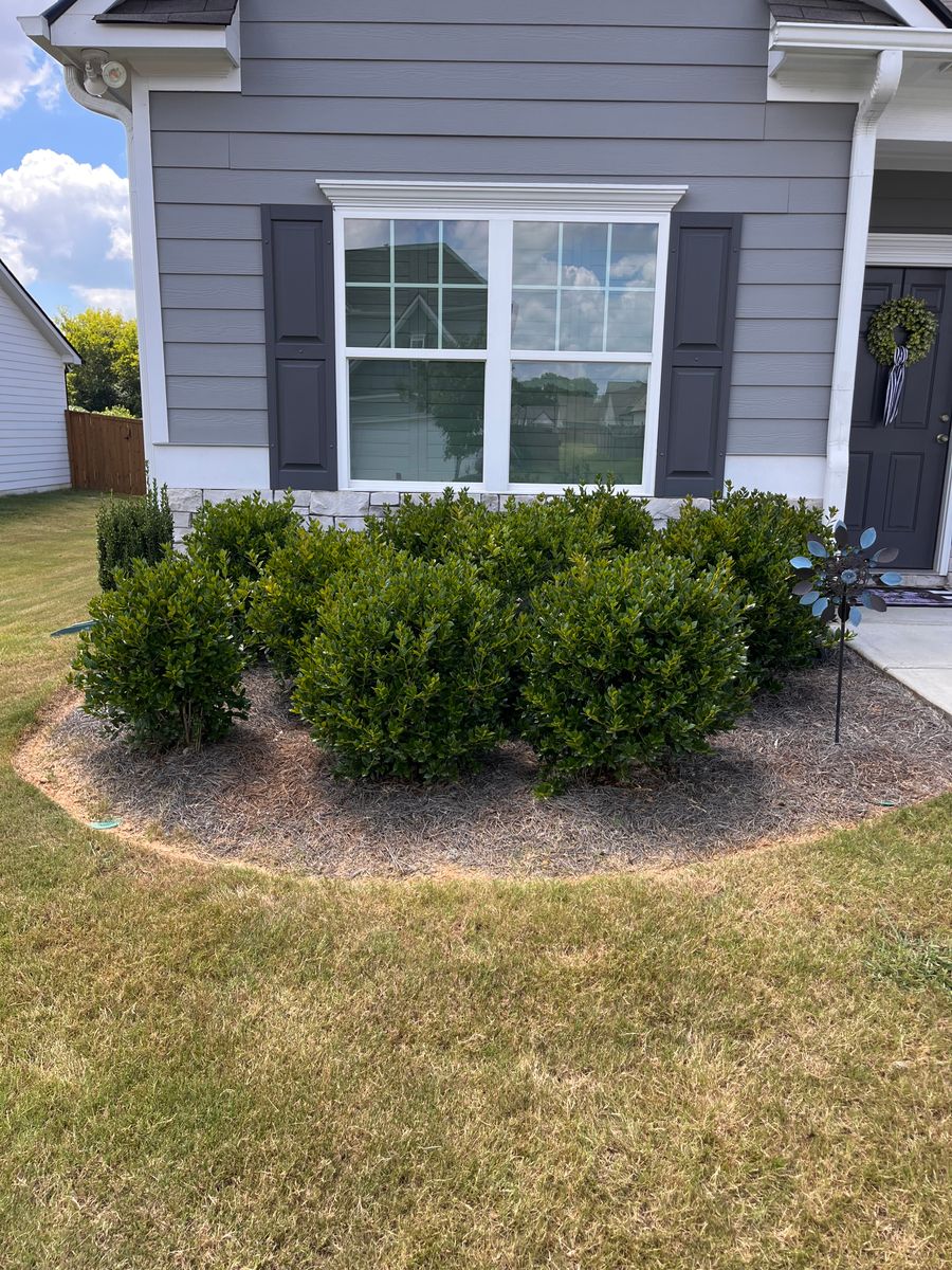 Tree & Shrub Care for VL Landscaping, LLC in Cartersville, GA