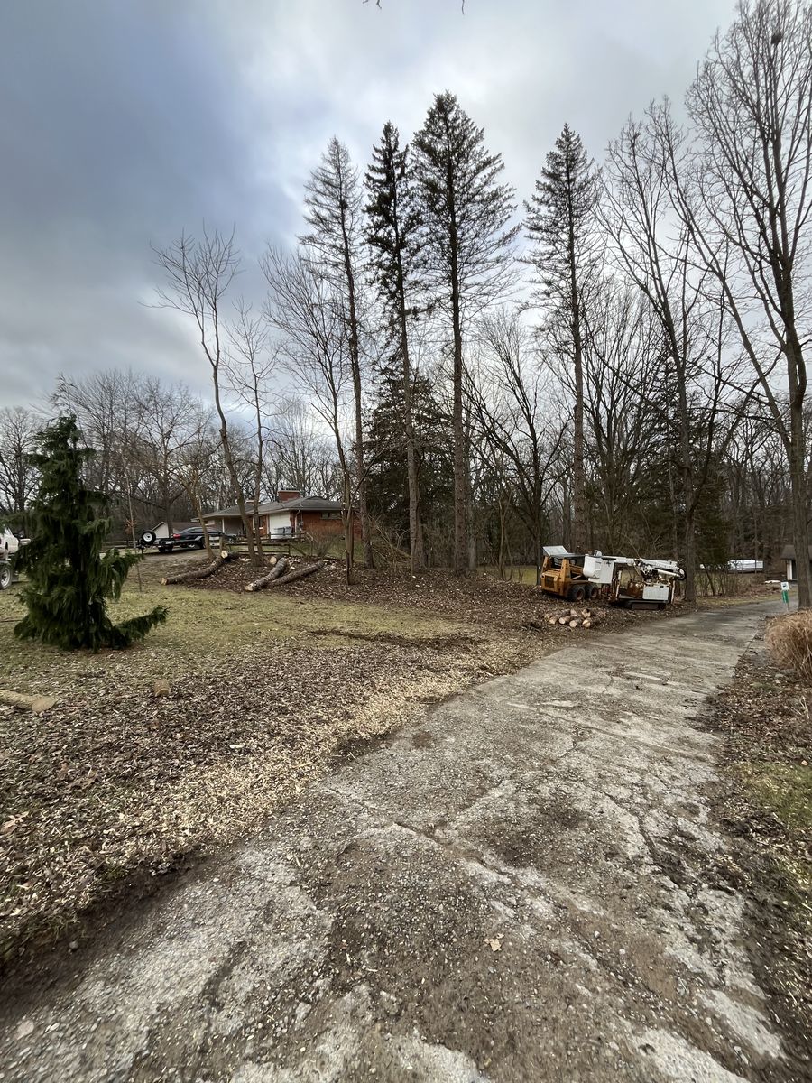 Lot Clearing for D Hale Tree Service in Ann Arbor, MI