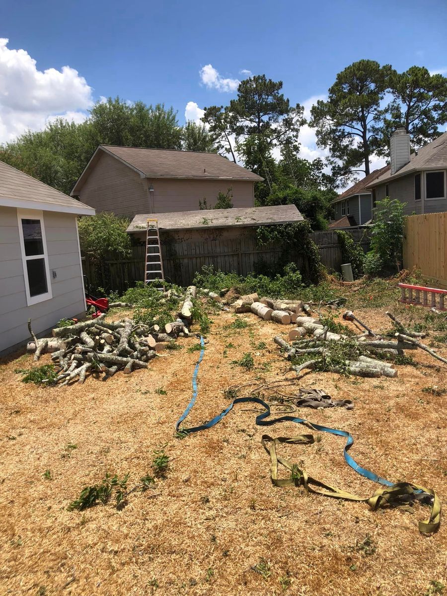 Tree Removal for Outlaw Landscaping & Transport Company in Houston, TX