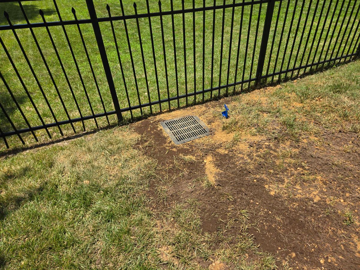 Catch Basins for Drain My lawn in Charlotte, NC