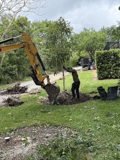 Excavation for Nurry Tree Services in Miami, FL