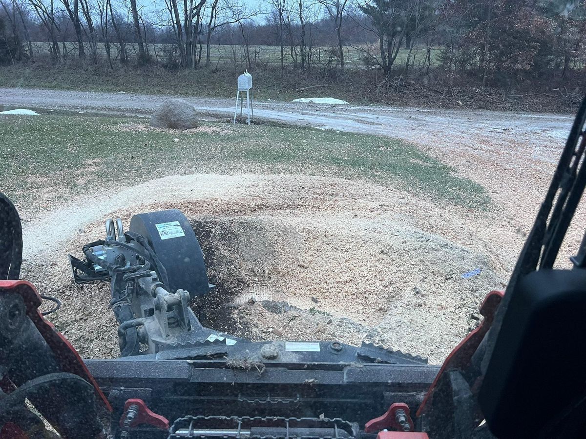 Stump Grinding for Baker Professional Services LLC in Shelbina, MO