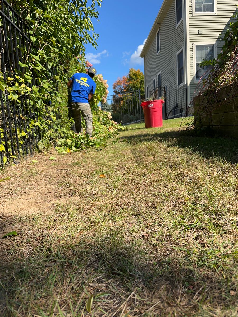 Shrub Trimming for 4 Brothers Landscaping LLC in Albany, NY