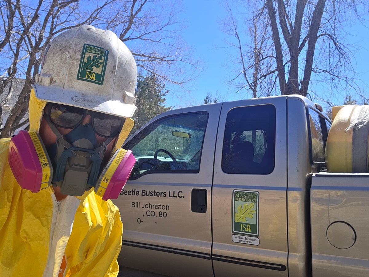 Pest Control for Beetle Busters LLC in Centennial, CO