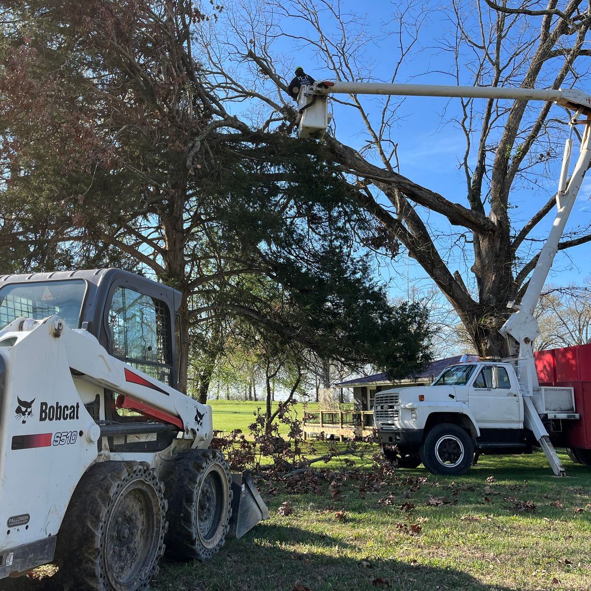 Tree Trimming for H n H Tree Service in Taneyville, MO