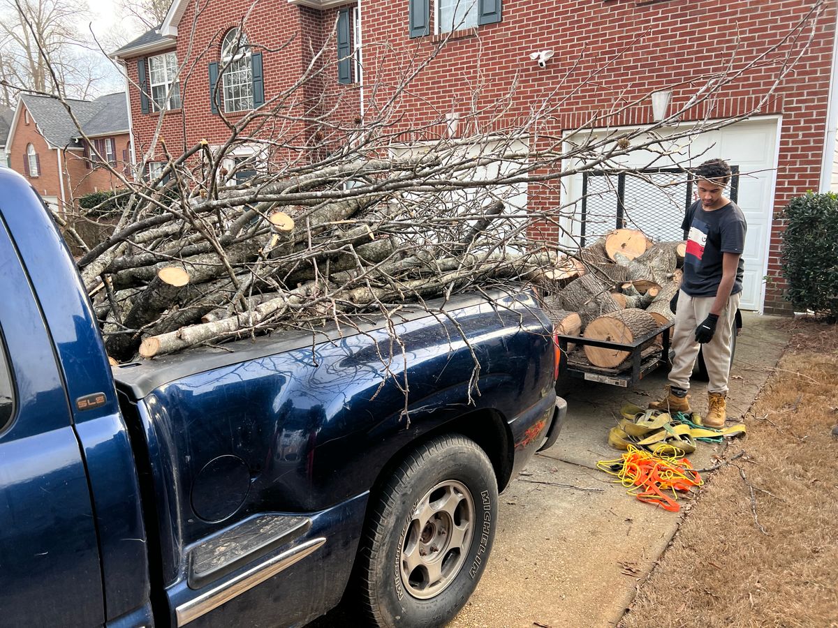 Debris Cleanup for Prime Lawn LLC in Conyers, GA